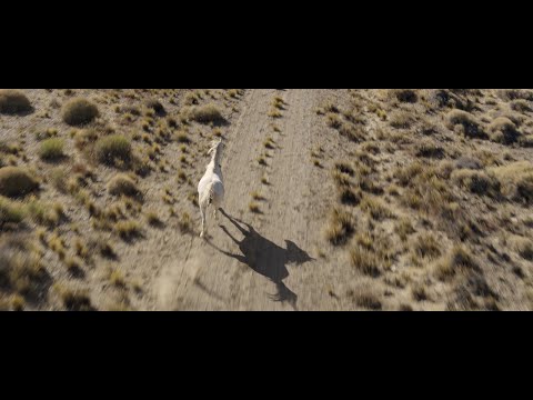 ZAHORÍ by Marí Alessandrini (Official Trailer) / Locarno 2021