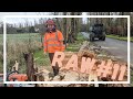 (RAW) Josh's Hollow Lombardy Poplar [UK Tree Work]