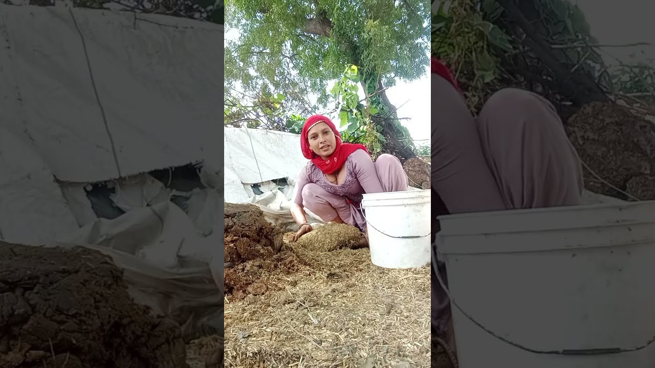 पति पत्नी का रिश्ता कैसा है अच्छा या ख़राब ?#tannuyadav desi bahu  