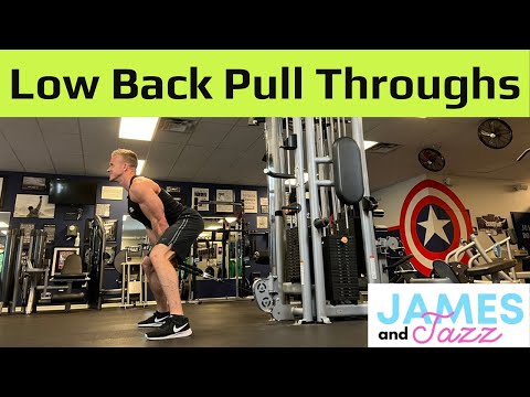 Rope Pull Throughs For Low Back || Cable Machine Lower Back Exercises || Pull Throughs Lower Back