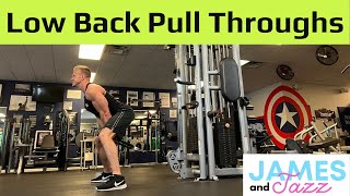Celebrity Rope Pull Throughs For Low Back || Cable Machine Lower Back Exercises || Pull Throughs Lower Back Wealth