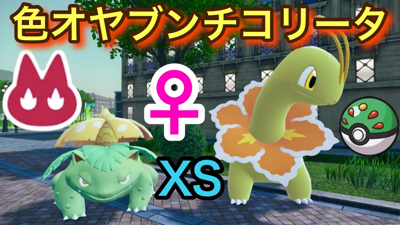 ♀色違いオヤブンチコリータをフレボで厳選＋XSサイズ♀色違い