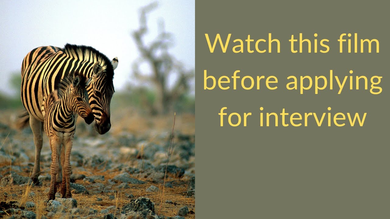 Watch this film before applying for an interview with The Wildlife For All Trust