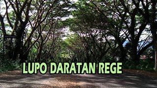 Lagu joget minang slow Lupo daratan 