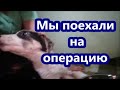 Мы поехали на операцию