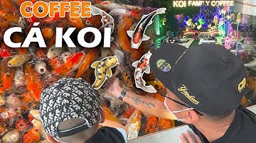 Quán Cà Phê CÁ KOI Số Lượng Đông Khủng Khiếp Ở Quận GÒ VẤP - RADIO 59