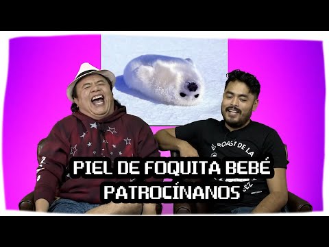 Piel de foquita bebé PATROCÍNANOS