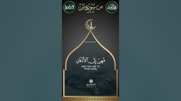 فواتح سورة يس بصوت الشيخ محمد أيوب رحمه الله | 1417هـ