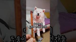 설탕이 다이어트에 도움이 안되는 인간들 ㅋㅋ