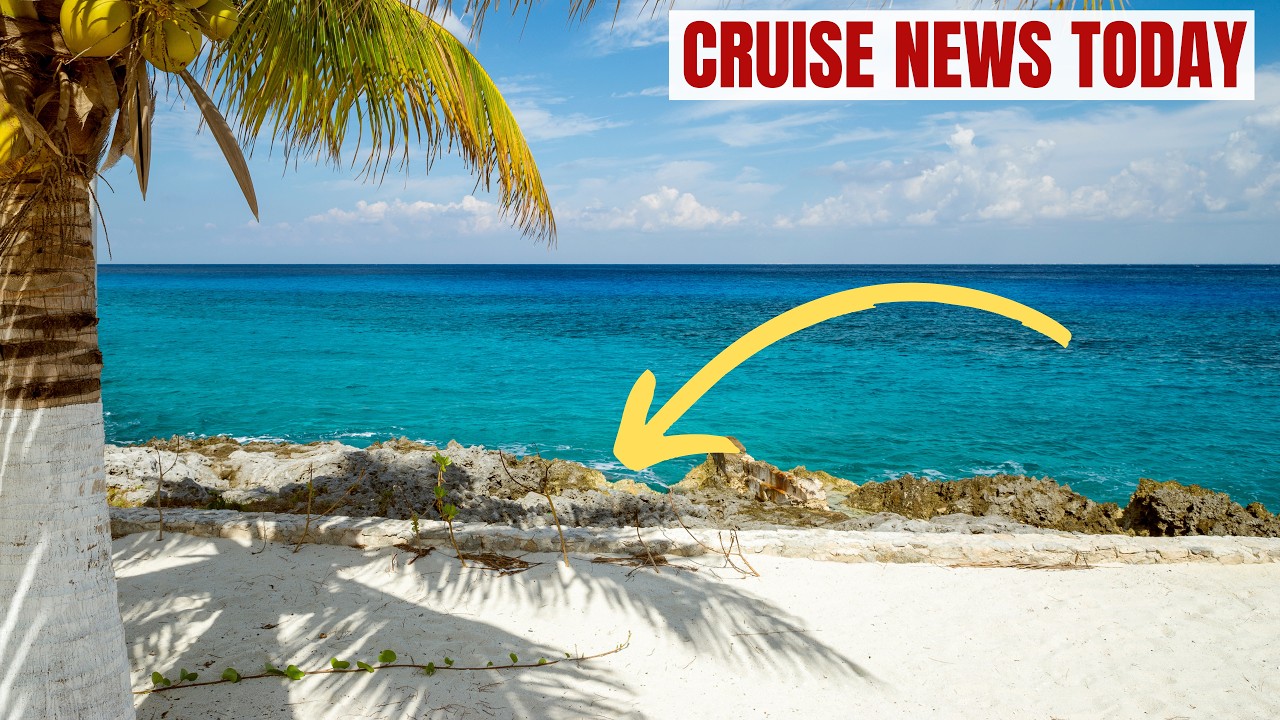 Worker Loses Arm in Crocodile Attack at Popular Cruise Beach
