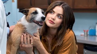 Socially anxious Man & Extrovert Girl Forced To Co-parent Their Dogs After A Disastrous First Date