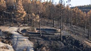 Incendio 2017, Gran Canaria.