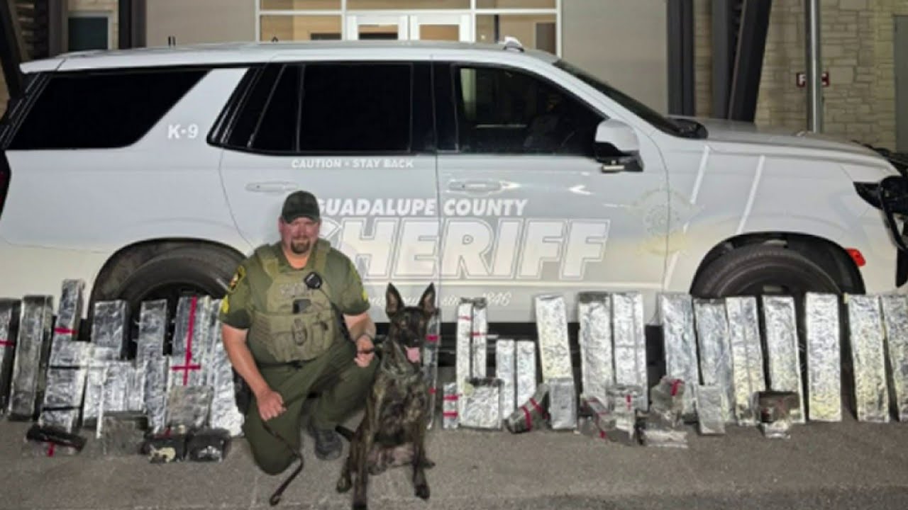 2 arrested after 300+ pounds of meth found during traffic stop, GCSO says