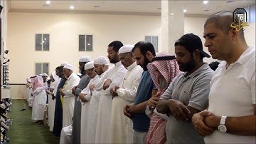 سورة ص كاملة - رمضان 1440هـ | القارئ محمد مالوم سعيد