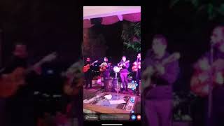Les Gypsies héritage (groupe gitan d Arles )