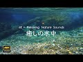 4K  驚きの水中映像 | 一度は見て欲しい円原川の水中景観  |  水中の音を聴きながらリラックス