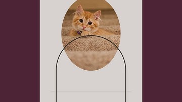 Pulsating Ambience for Moody Kittens