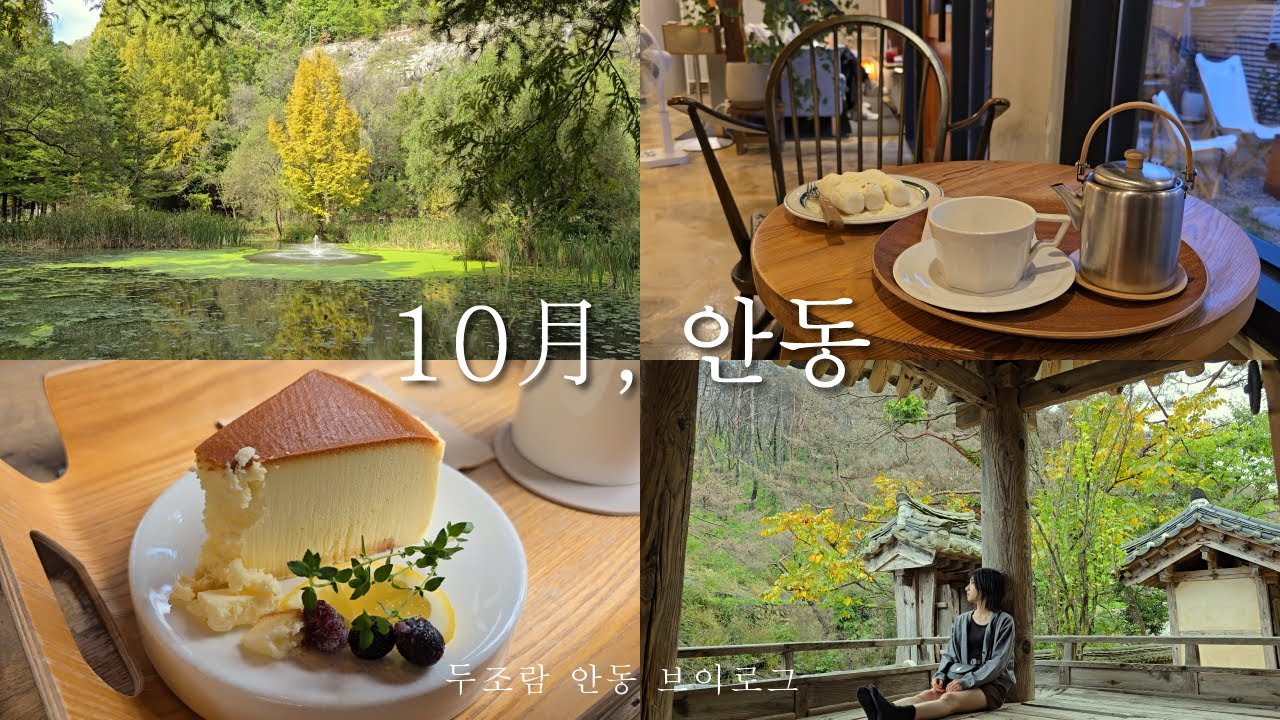 [Vlog] 가을 맞이 혼자 떠난 안동 여행 | 지브리st 인생 카페 | 쏘카 탔다가 경찰서에 가게 된 사연(그런데 보험이 불가한..) | 안동 1박2일 | 국내가을여행