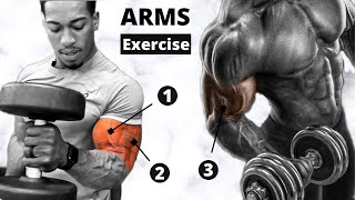 Super Pump Arm Workout For Mass - Maniac Muscle
