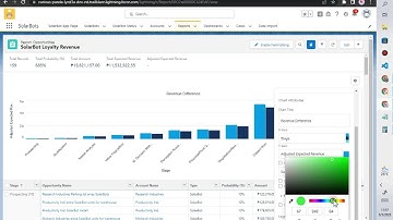 Create a report for the Executive team | Lightning Experience Reports & Dashboards Specialist | C6