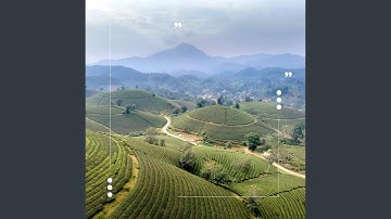 Modish Moods for Hitting the Open Road