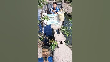 Đi cầu cá tra bị văn nước ướt nhẹp