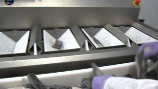 Marel Target Batcher - Ζύγιση σε Σταθερό Βάρος (2)