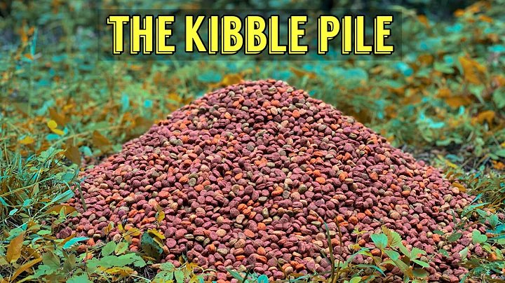 We Left a PILE OF DRY DOG FOOD in the Woods. Here's what happened! Trail Camera: The Kibble Pile