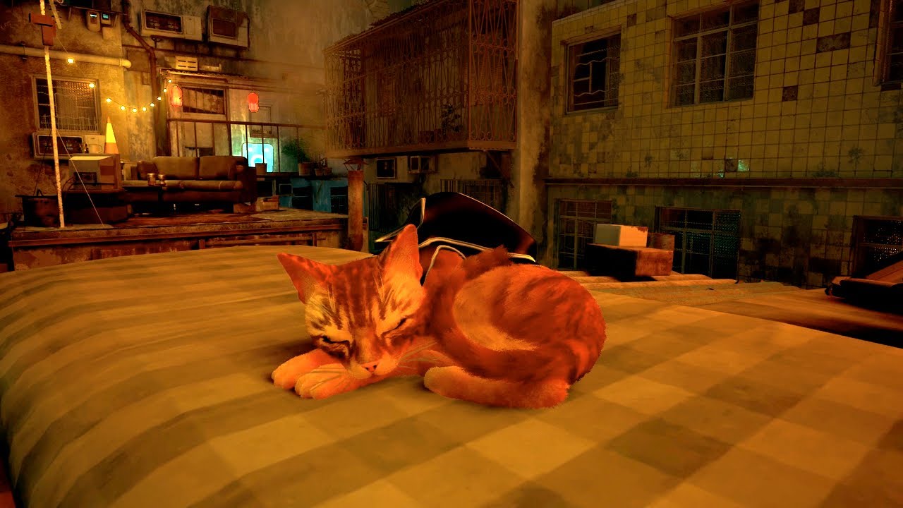 Purring in the Slums | Stray Ambience / ASMR