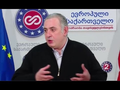 30 მილიონი კერძო კომპანიის მიკროავტობუსებისთვის - გოკა გაბაშვილი