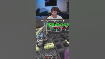 DrDonut and Kelp Completed the $100M challenge