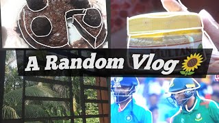 A Random Vlogmaking Cake Skin Carewatching Cricketvlog-05Bangladesh