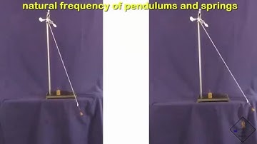 natural frequency pendulum and springs a science with bobert video short