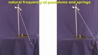 natural frequency pendulum and springs a science with bobert video short