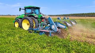 The Future Of Peanut Diggers