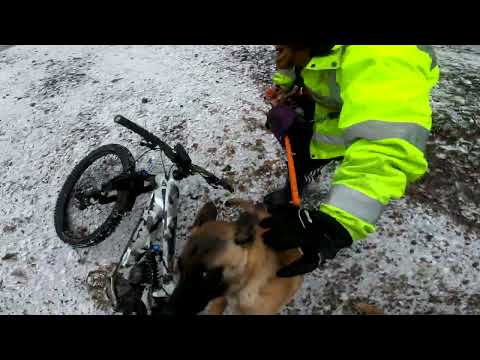 Attacked by dogs while Mountain Biking