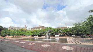 Ai Weiwei sculpture installation time-lapse video