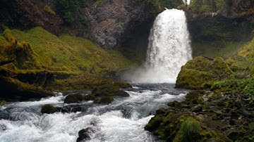 سورة الكوثر | تلاوة الشيخ ماهر المعيقلي