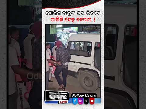 ପୋଲିସ ବାବୁଙ୍କ ଘର ଭିତରେ ଚାଲିଛି ବେପାର! #ytshorts #shortsvideo