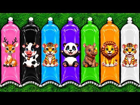 UNBOXING: Elephant, Giraffe, Lion, Tiger, Leopard, Kangaroo, Hippo, Rhino, Zebra, Panda, Pig.