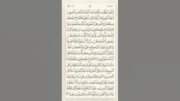 كل يوم ورد من القران الكريم