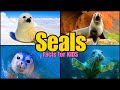 Seal Facts Quiz