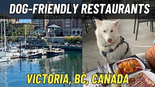 Top 16 Dog Friendly Restaurants in Victoria, BC, Canada 🇨🇦