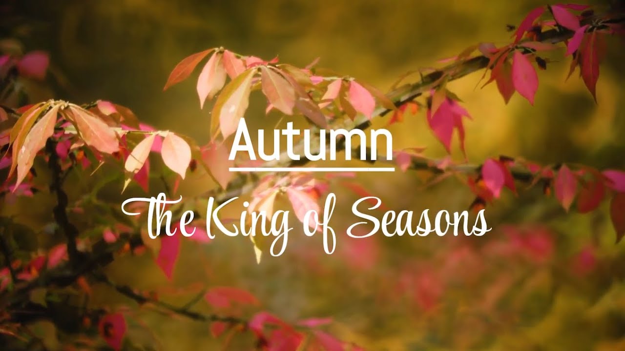 no-ads-autumn-the-king-of-seasons-relaxing-piano-background