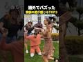 海外でバズった　家族の愛が感じるTOP3