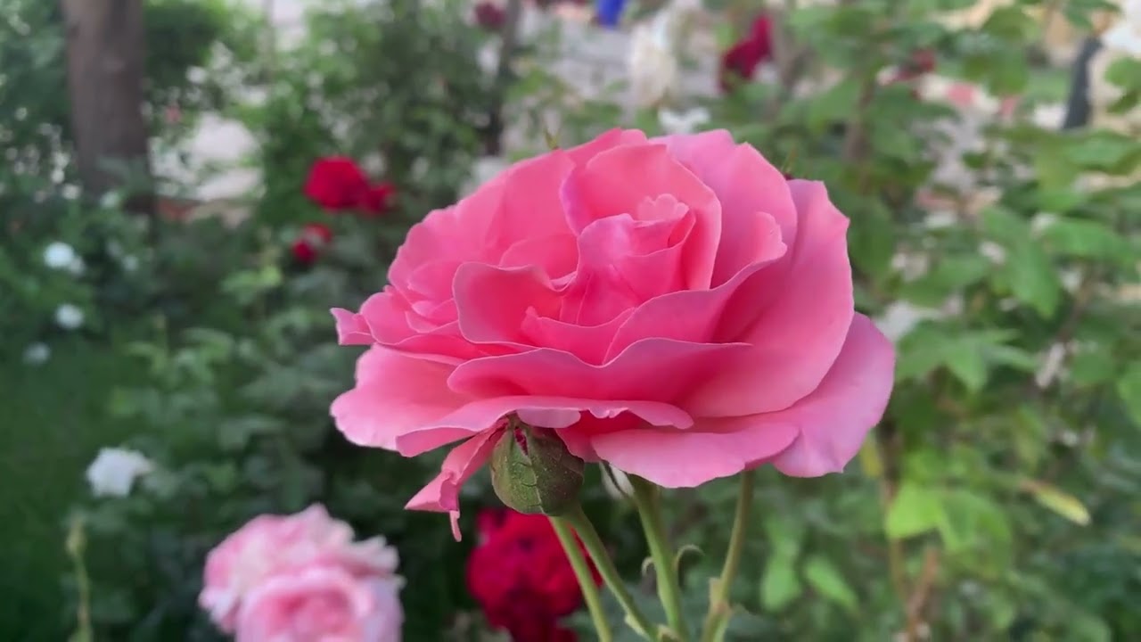 Romantic, relaxing, and perfect for unwinding