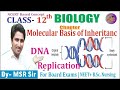 DNA Replication | Biology Class 12 Chapter- 06 Molecular Basis of Inheritance