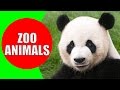 Zoo Animals for Kids - Videos and Sounds of Wild Animals at the Zoo for Children to Learn