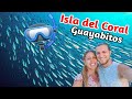 📌 Tour ISLA DEL CORAL (4K) Rincón de Guayabitos | Nayarit | Qué ver y hacer 1 día | 21# México