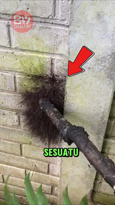 BE CAREFUL 💥 If You See This 😱 #shorts #short #uniquefacts #interestingfacts